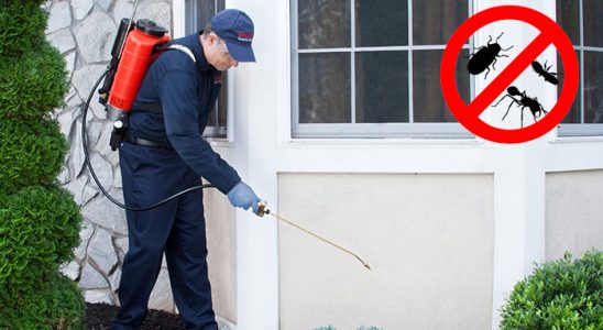 Alaplı Dezenfeksiyon böcek ilaçlama ve haşere kontrolü — ilaclama-tr.com